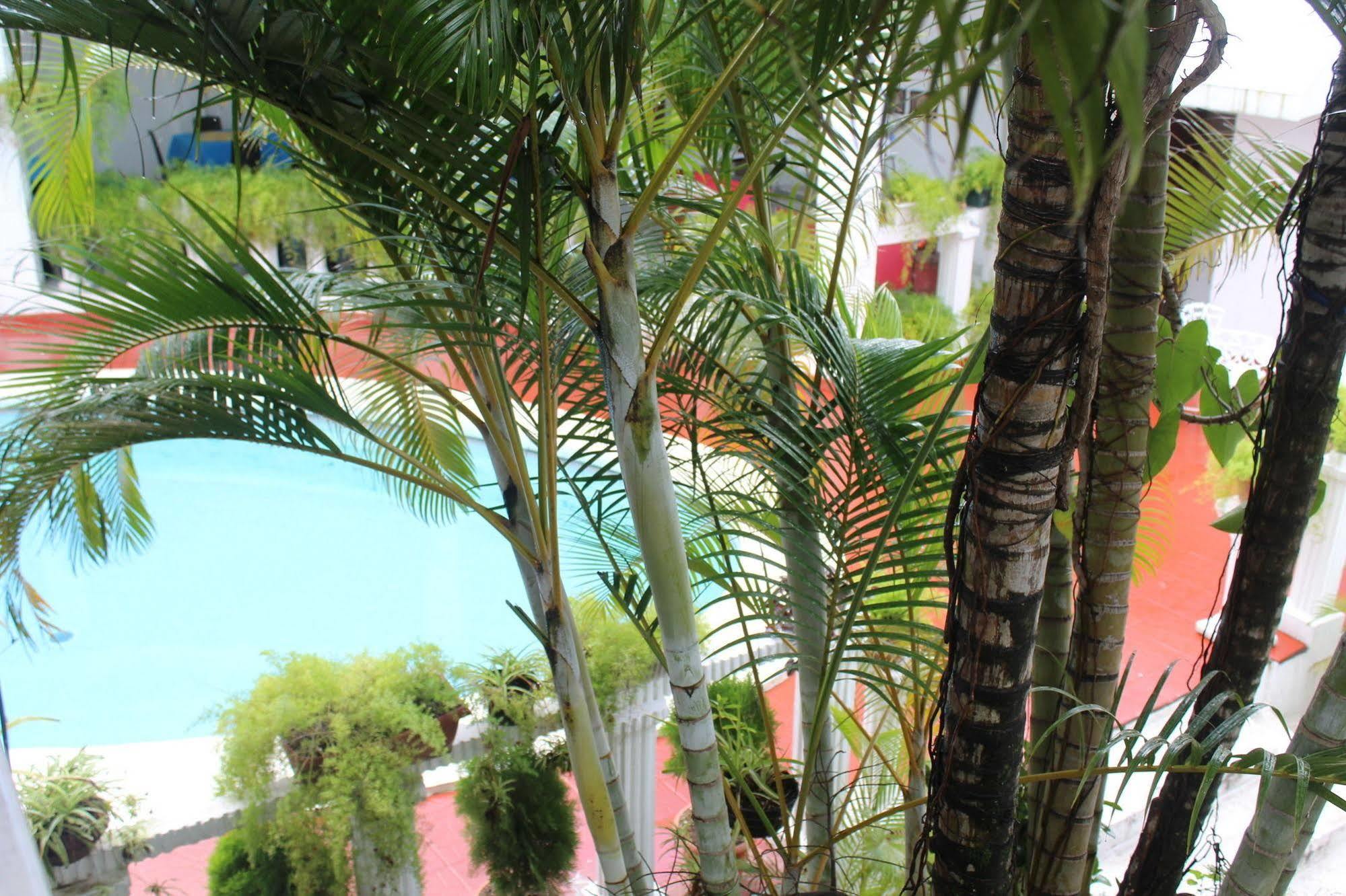 Hotel Grecia Real San Salvador Exterior foto